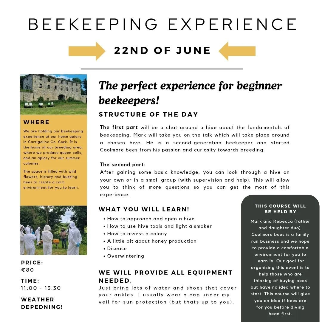 Visit our website to book onto our beekeeping experience on the 22nd of June!!

#beekeepingcourse
#irishbeekeeping 
#nativeirishblackbee 
#coolmorebees 
#beginnersbeekeeping