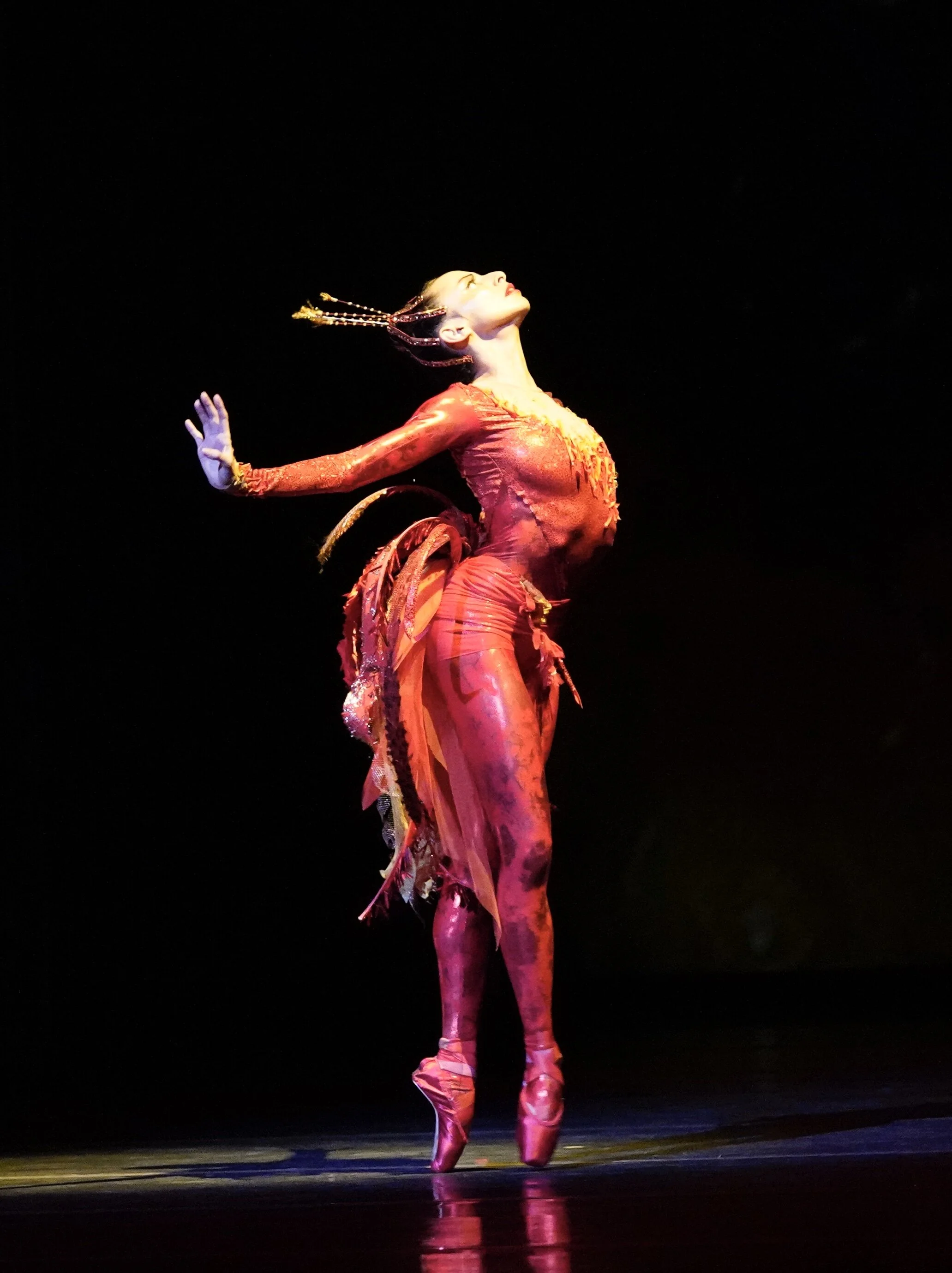 Firebird side George Skouras.jpg