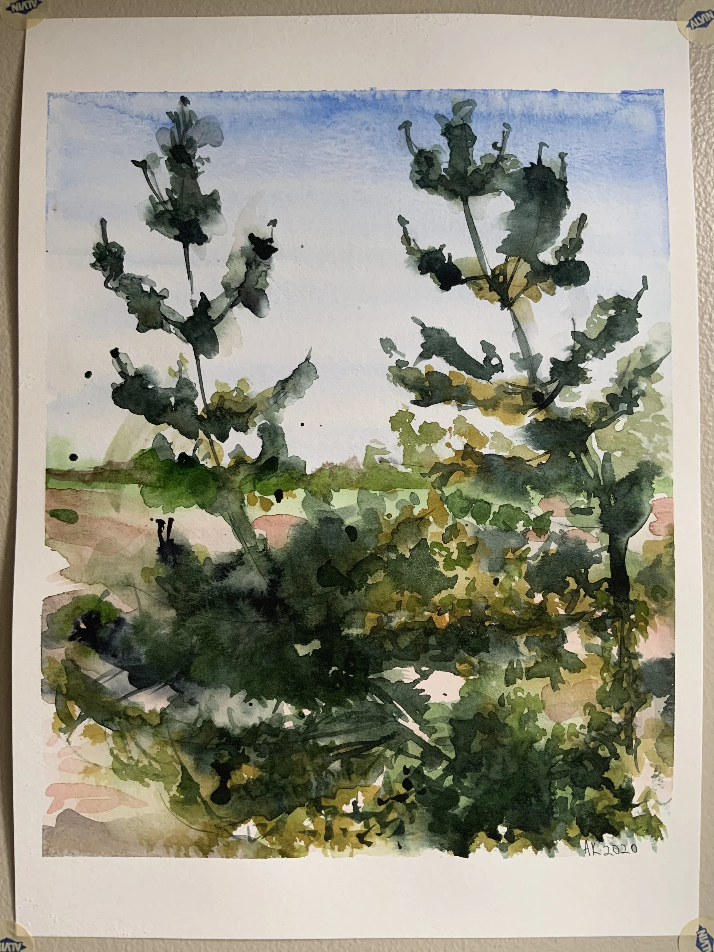 watercolor cape pines.jpeg