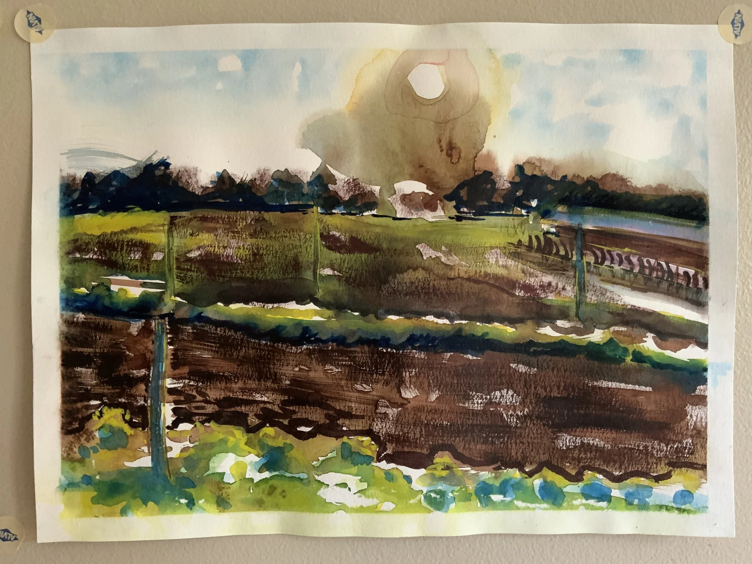 Cook farm earth 2.jpeg