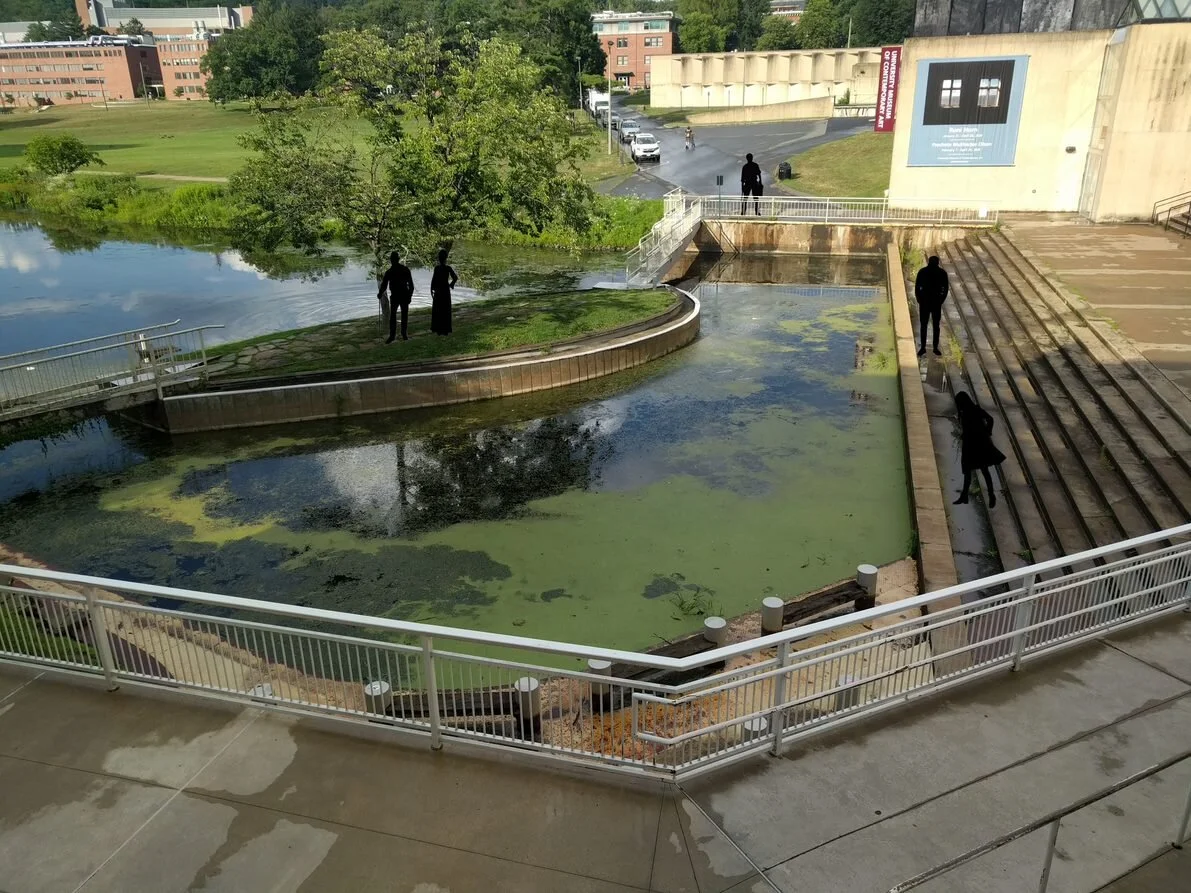 Barrett, Lindsey_Digital Design Fantasy - Pond_UMass Amherst_Photoshop.jpg.jpg
