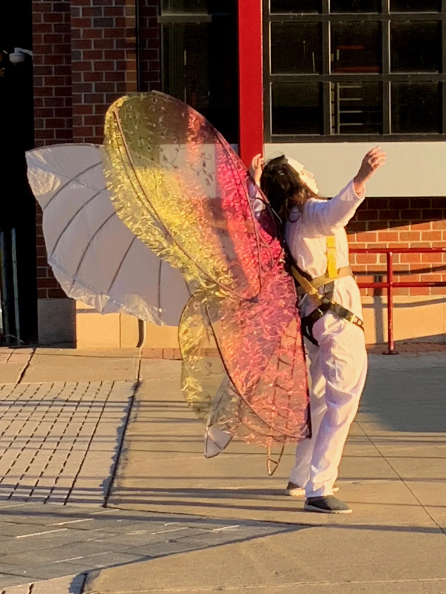 Butterfly album cover AK.jpg
