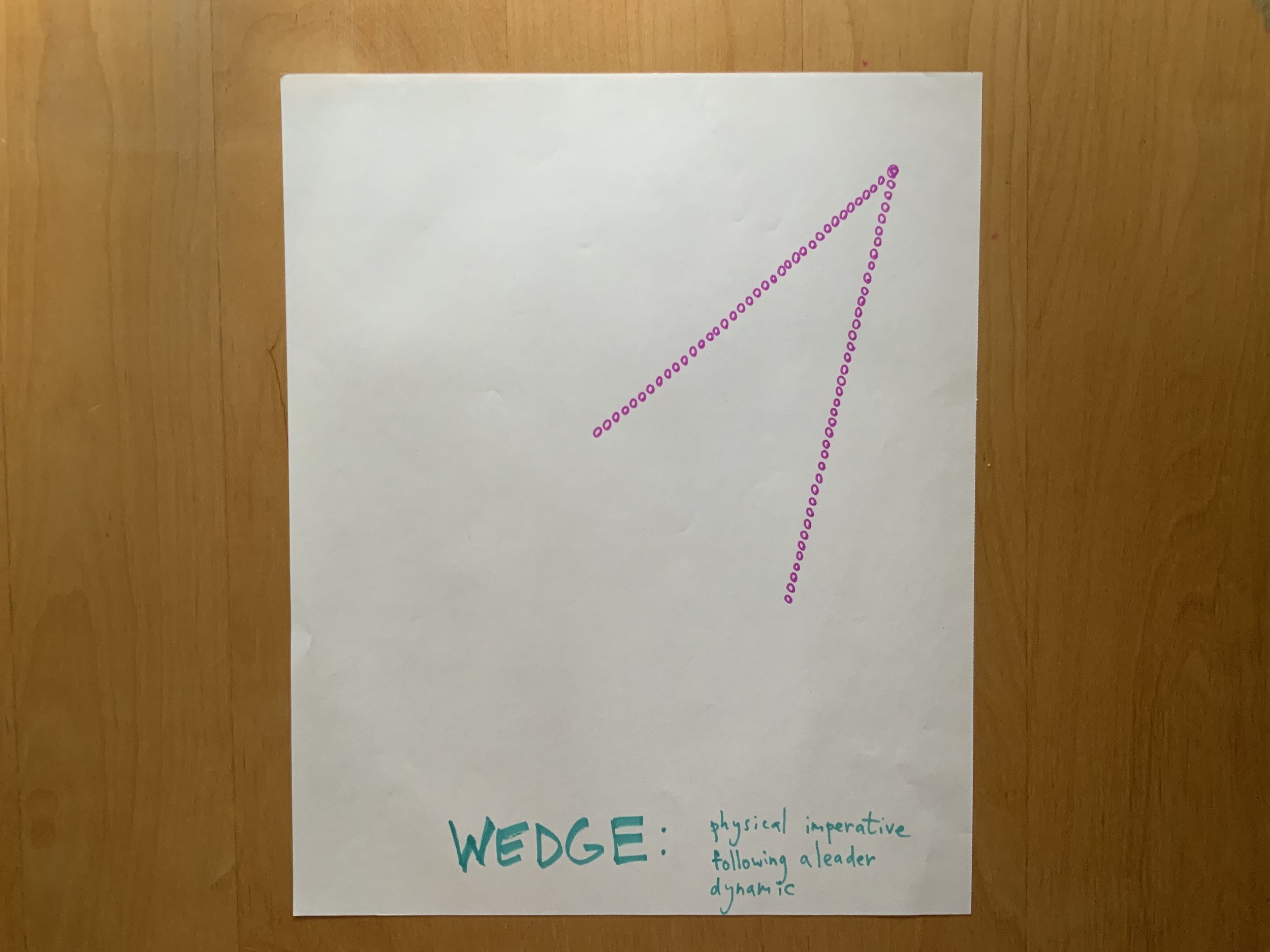 3 WEDGE.jpeg