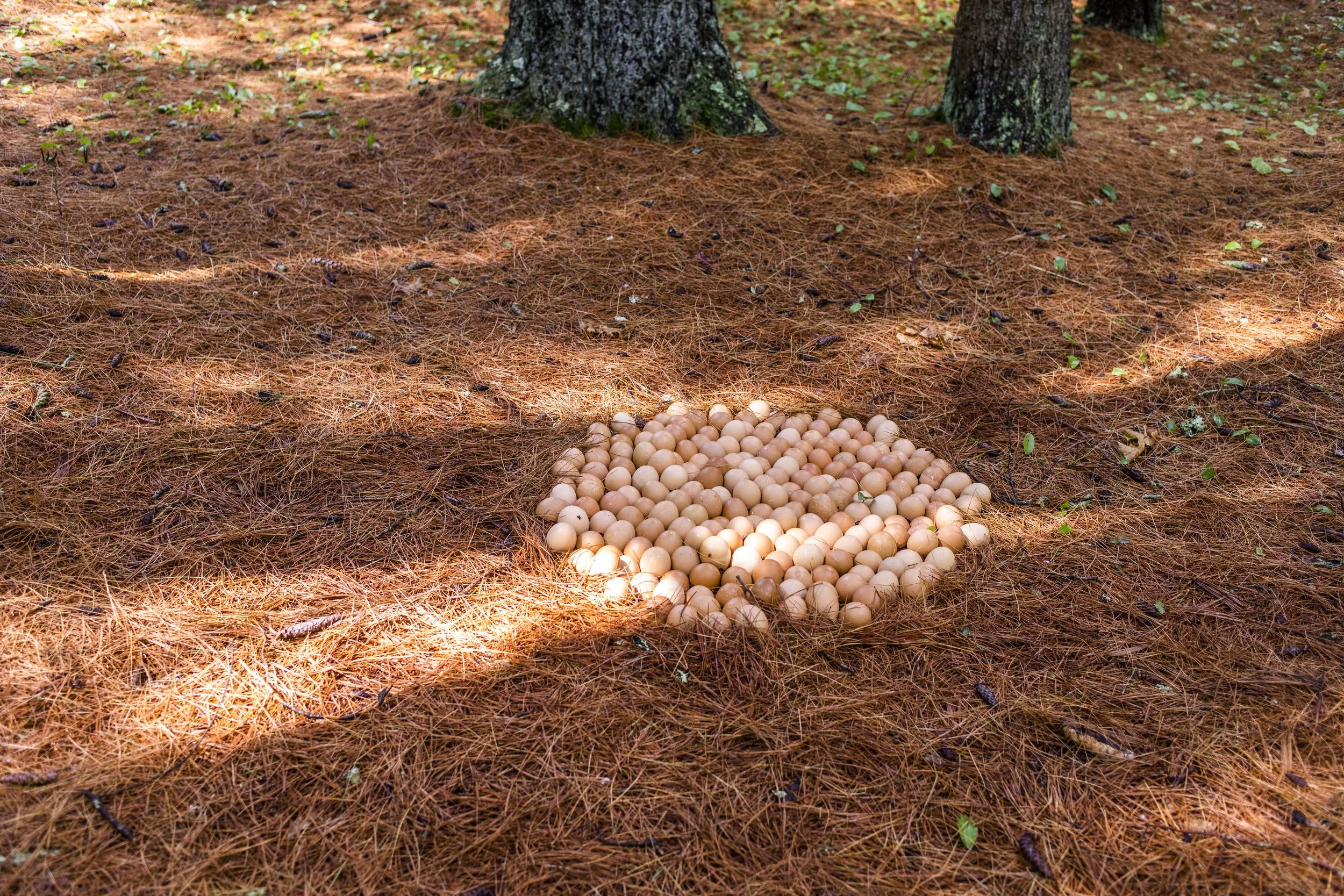 !July_Process _2023277.jpg