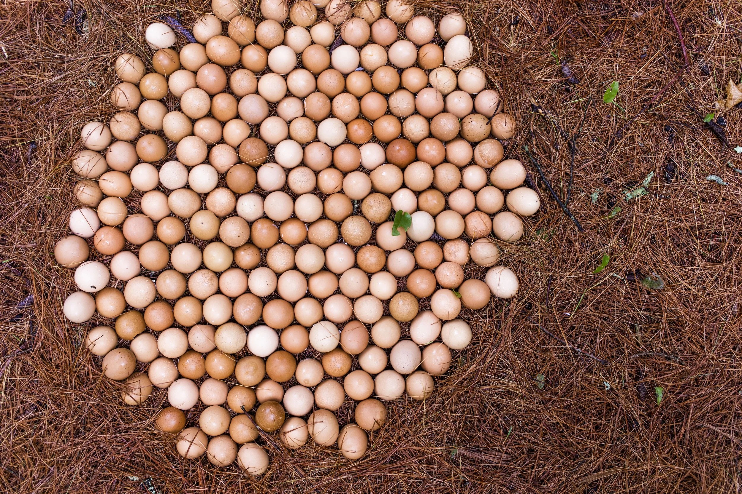 !July_Process _2023259.jpg