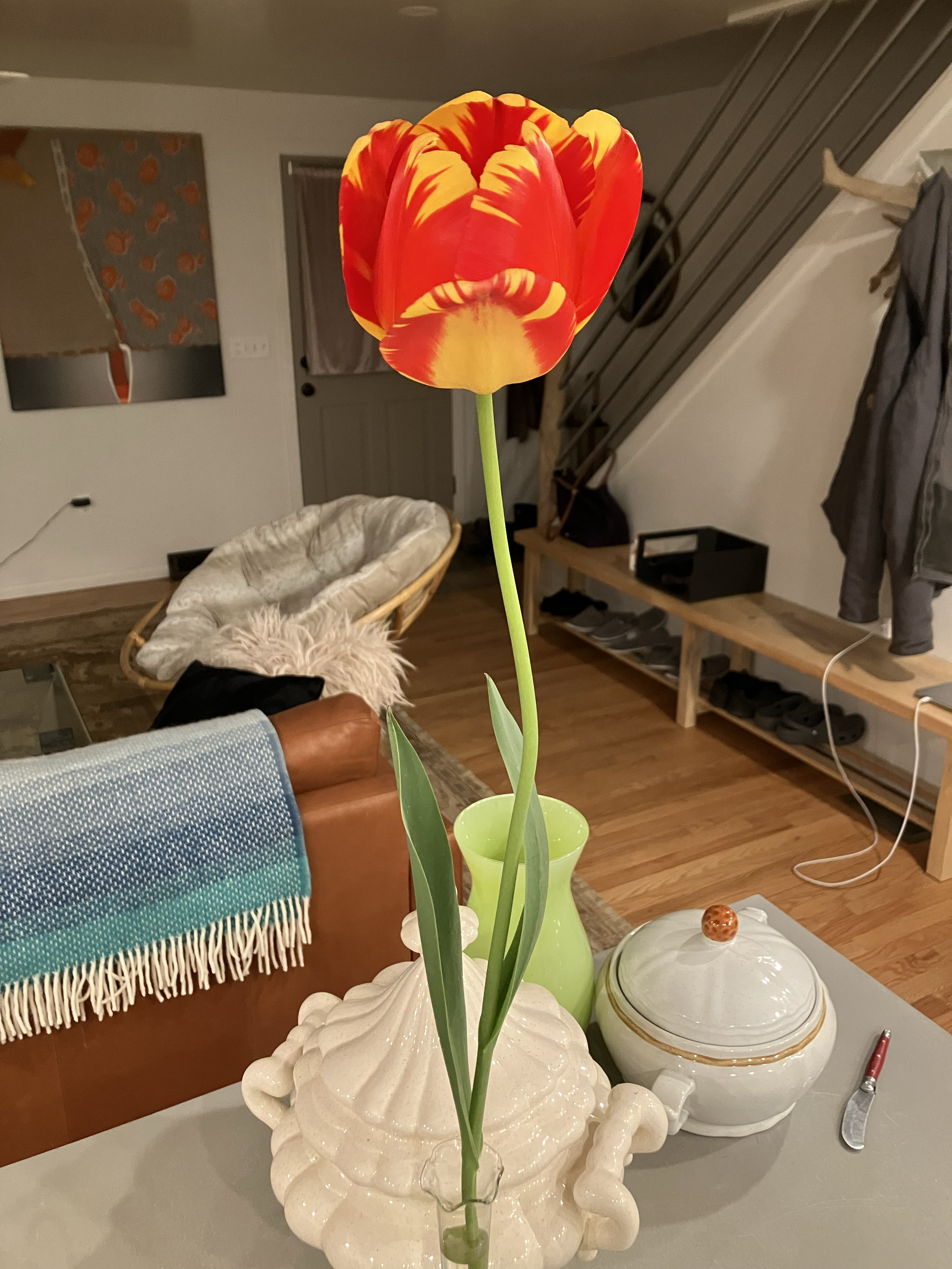 !!IMG_4216.png