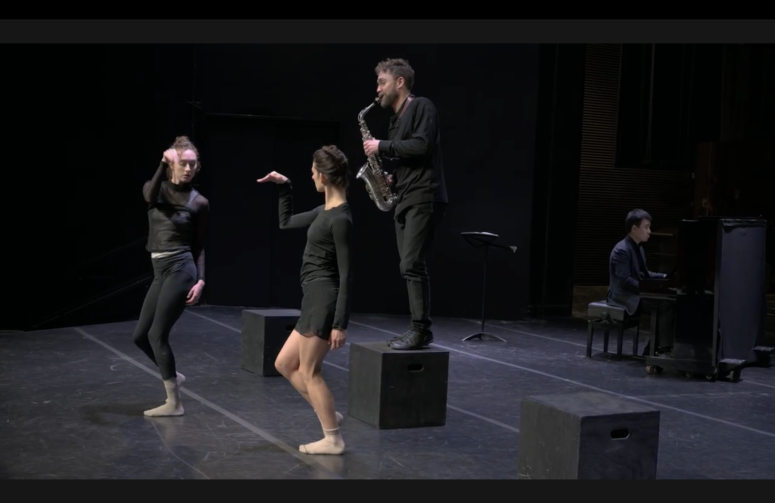 The Fuzzy Bird Sonata_Design&Dance Seed Residency.png