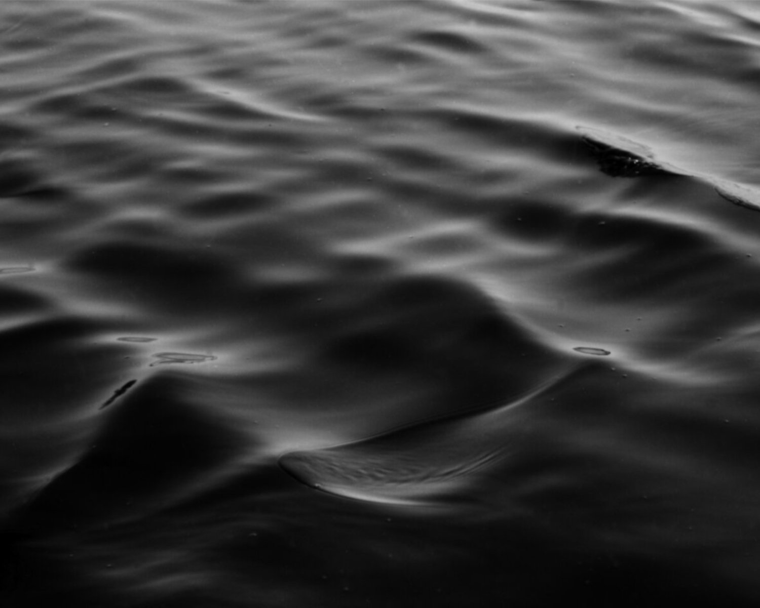 IMG_4193.jpeg