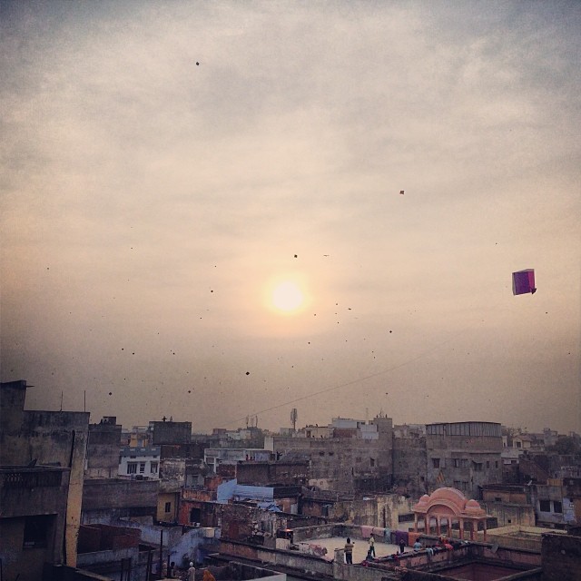 Jaipur Kites