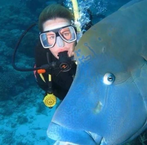 Our adventurous friend Rochelle Roberts