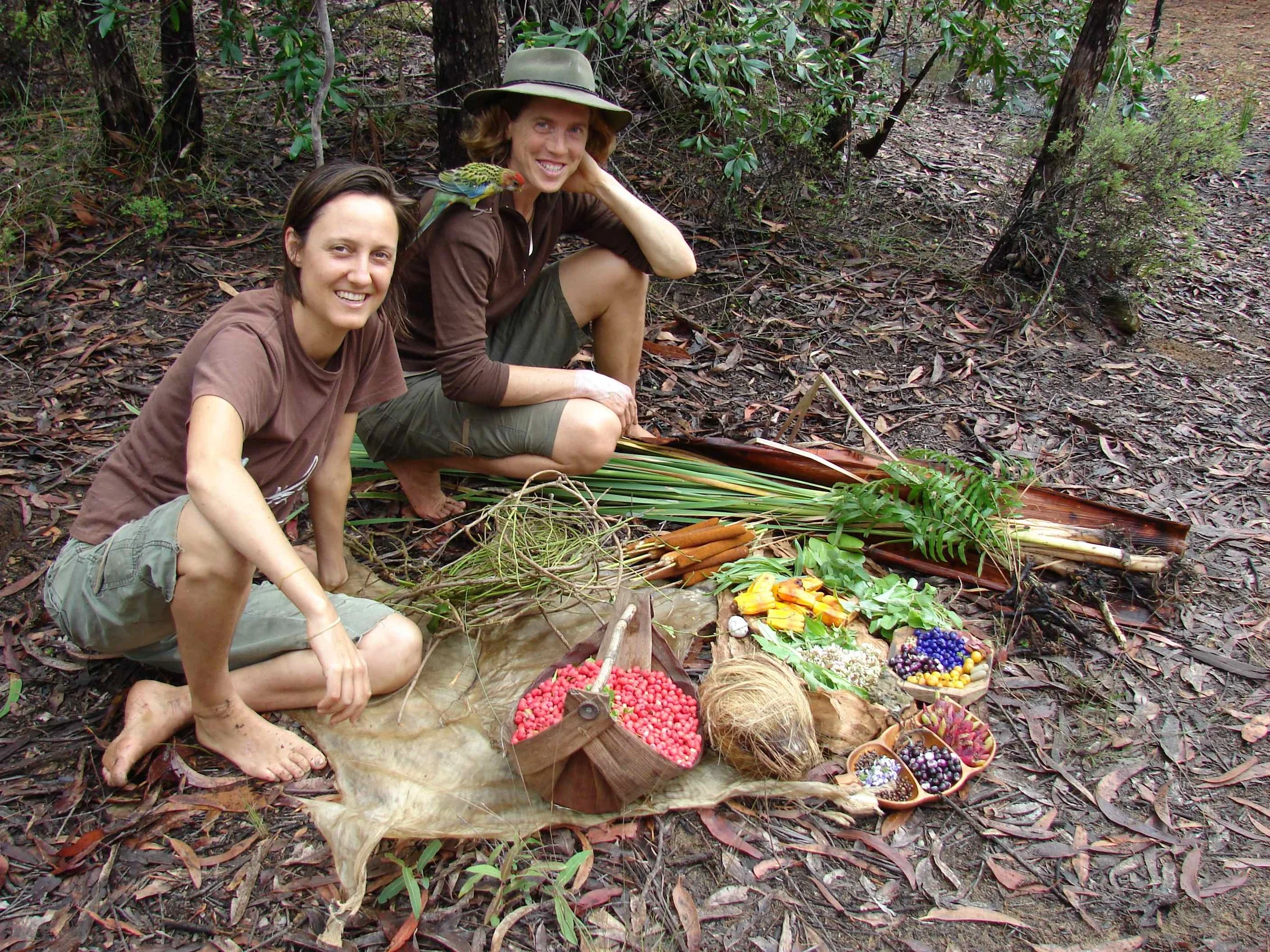Bush foods (CD).jpg