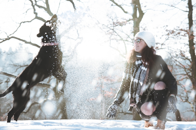 girl and dog in snow.jpg