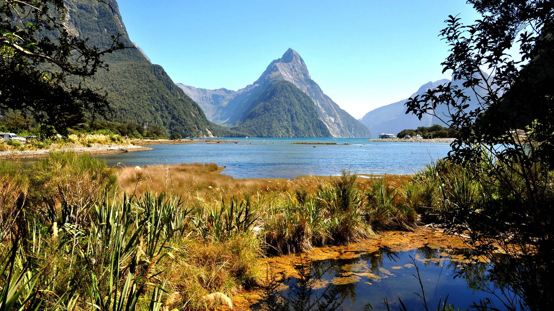 fiordland-nationa-park-hero.jpg