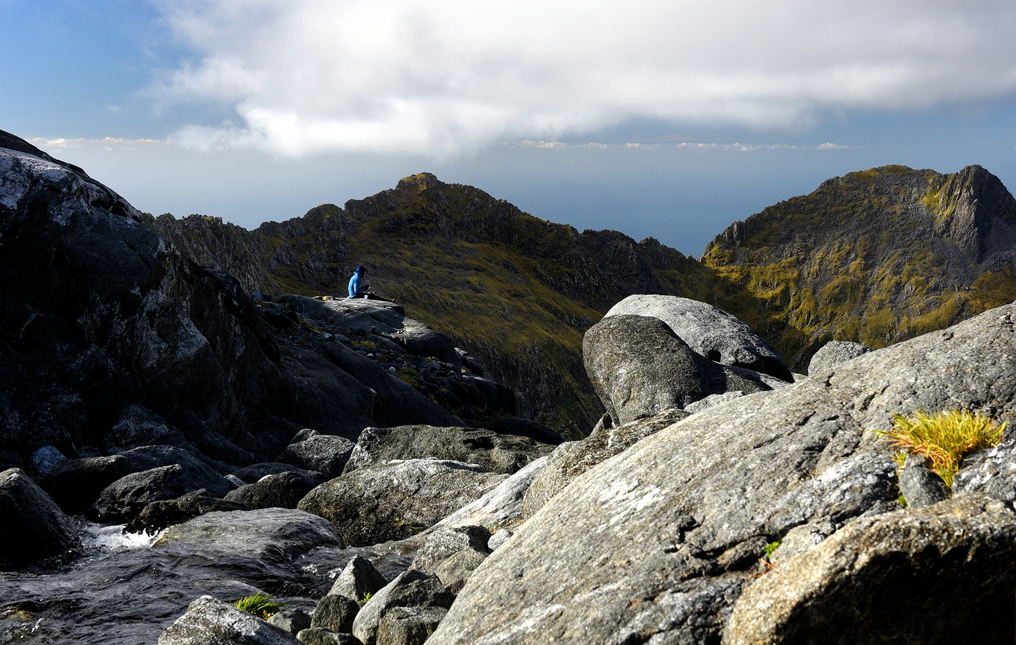 2 Rosie_painting.jpg