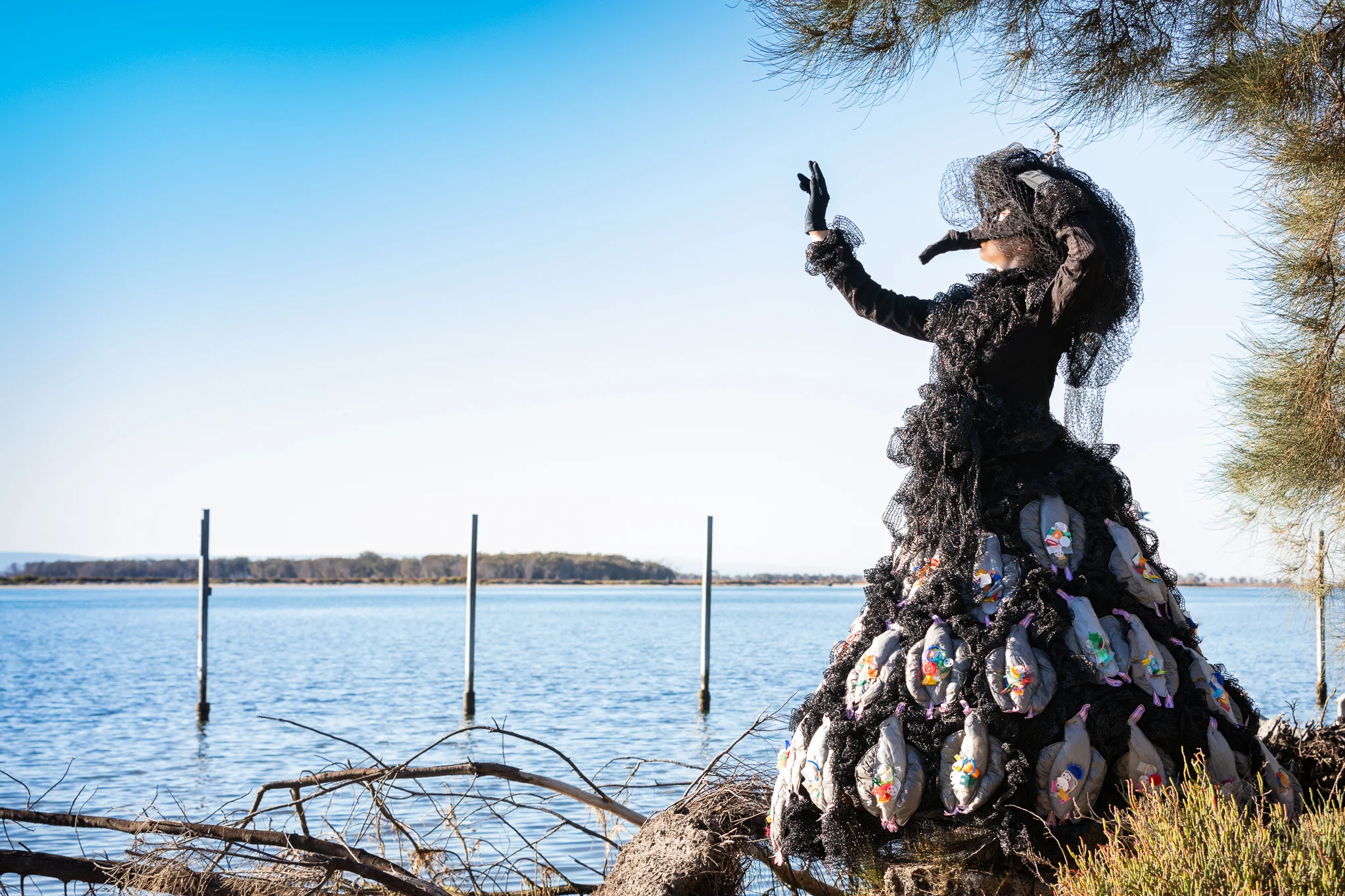 Land Down Under Category MOURNING BIRDS Meagan Howe