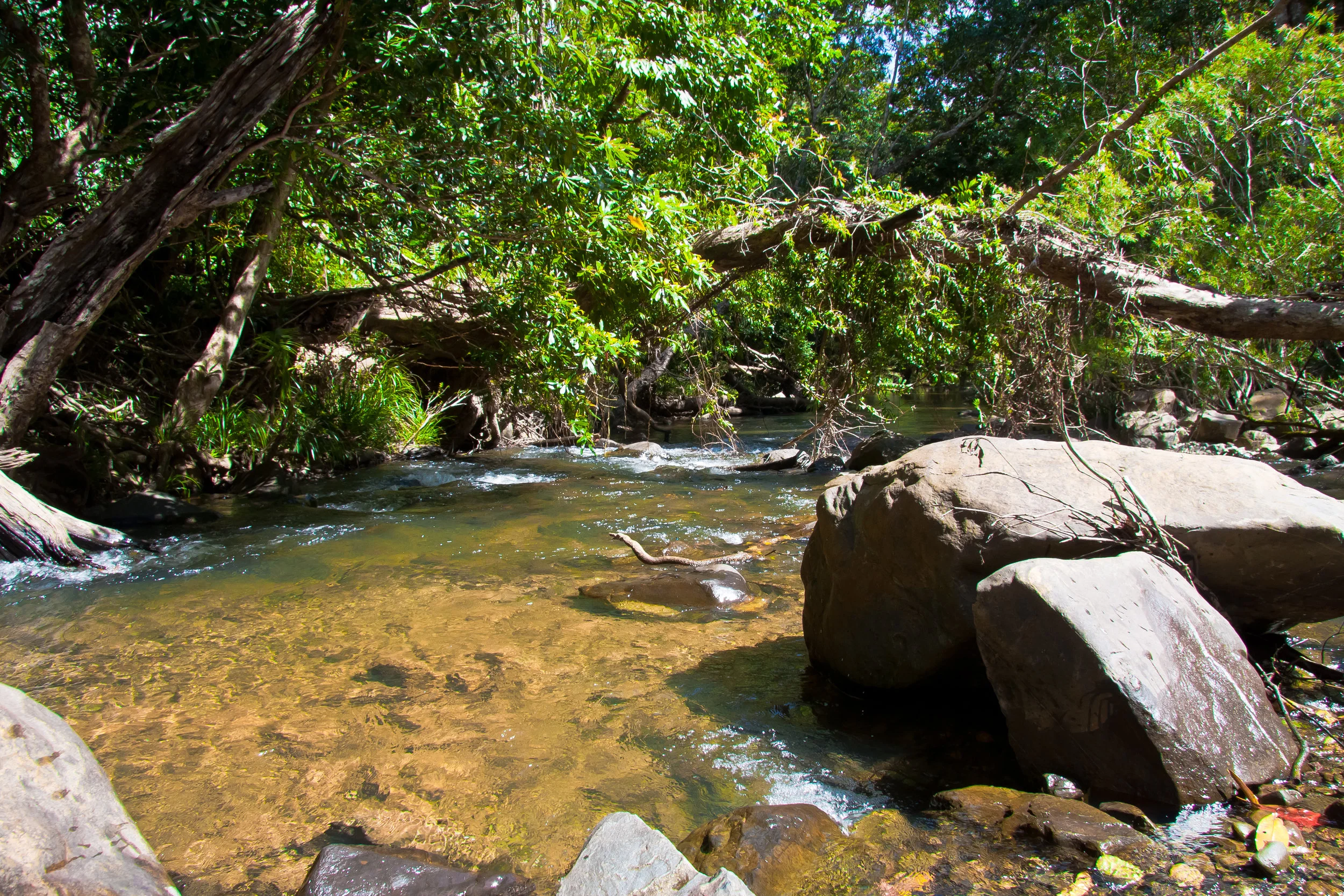 Bridge Creek, Nolans Brook (Old Telegraph Track), Queensland