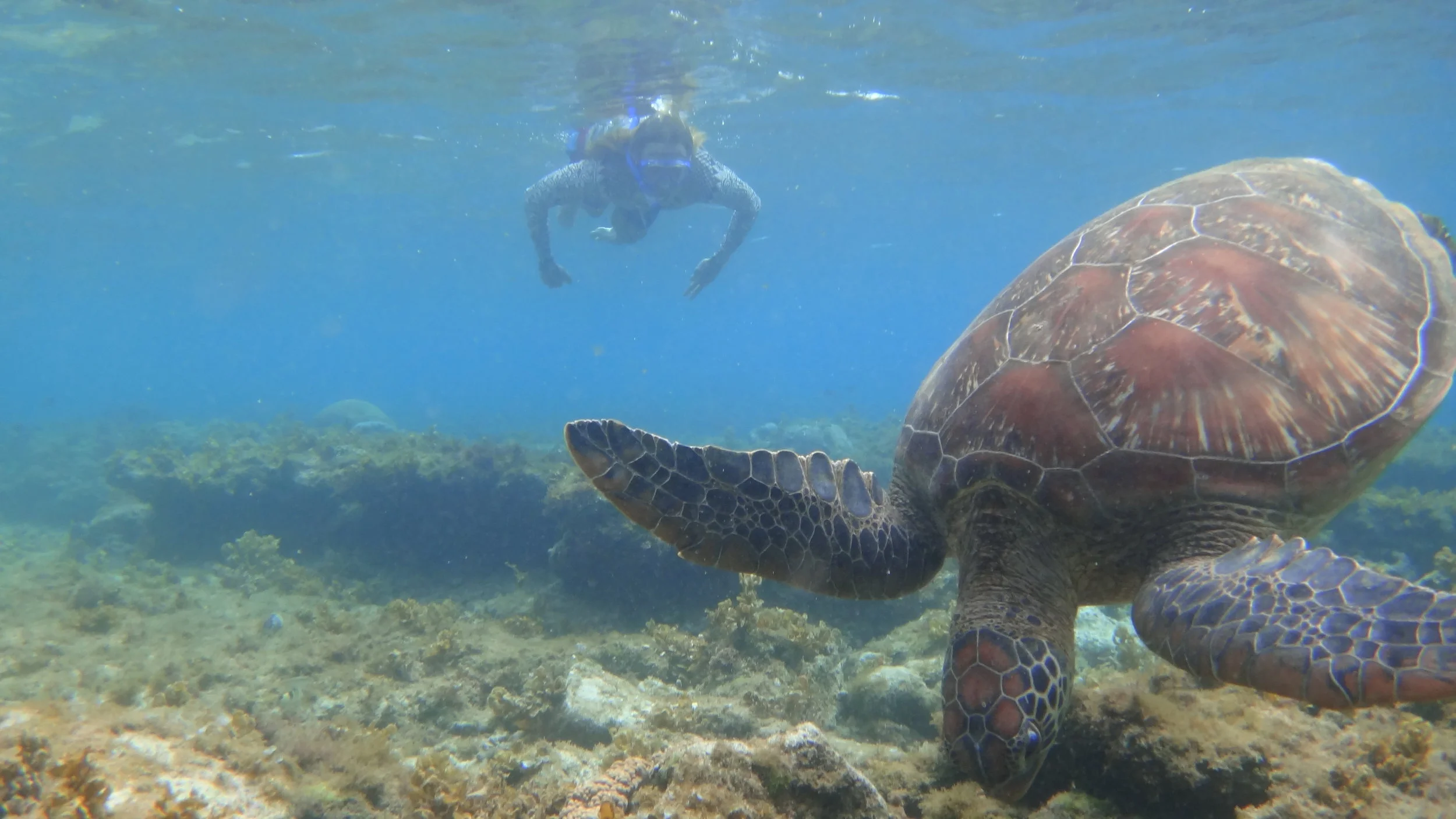 Photo by: Aurelia Reitano