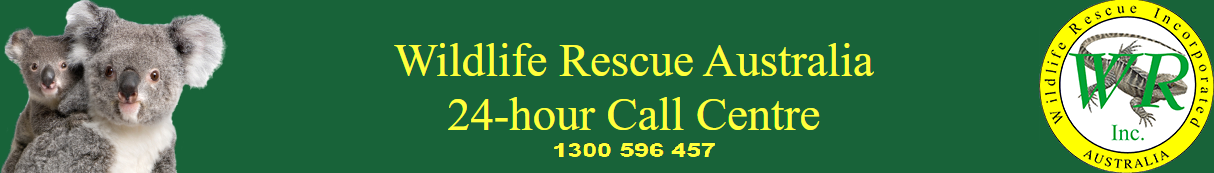 Wildlife Rescue Australia.png