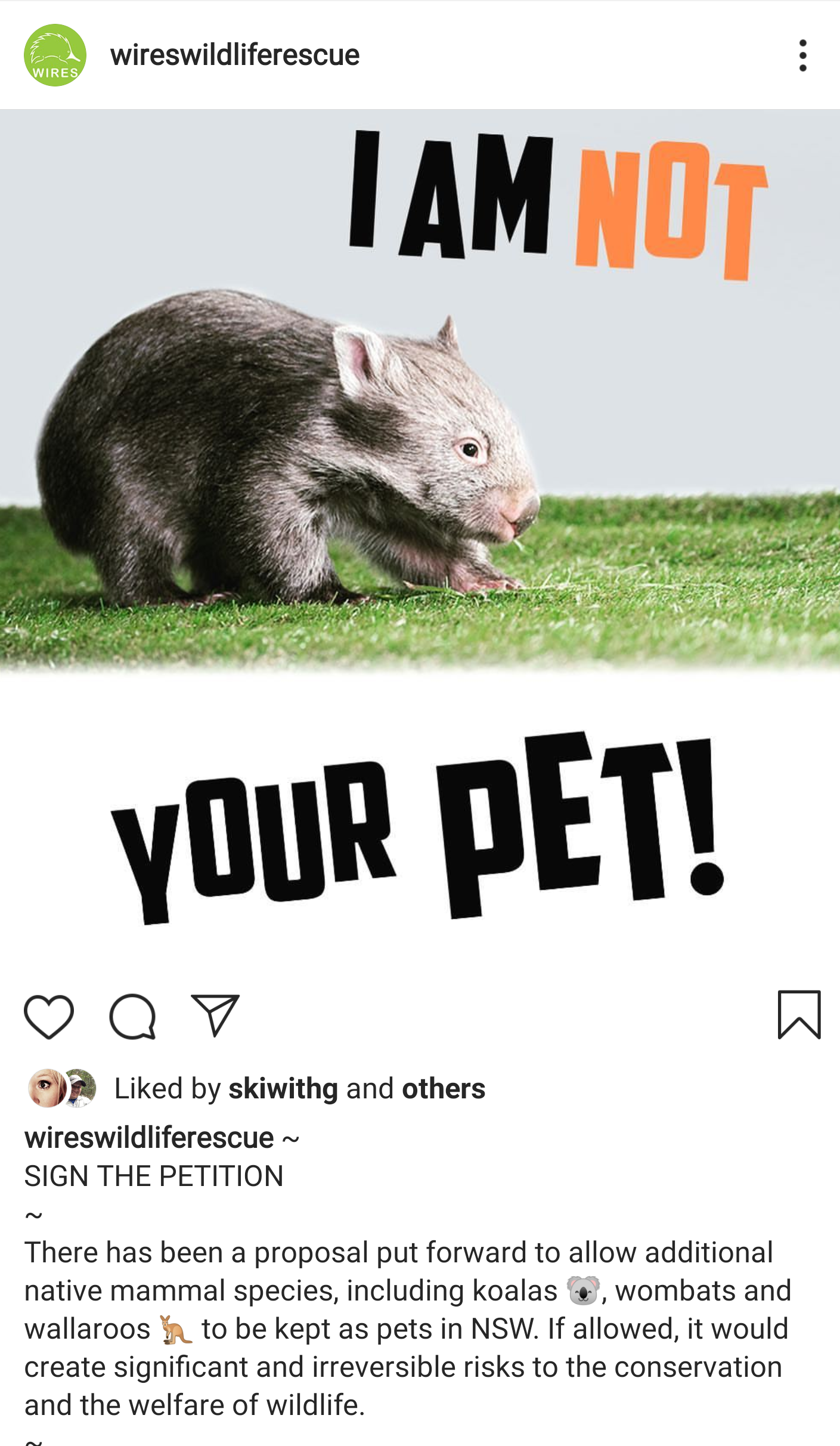 WIRES I am not your pet.png