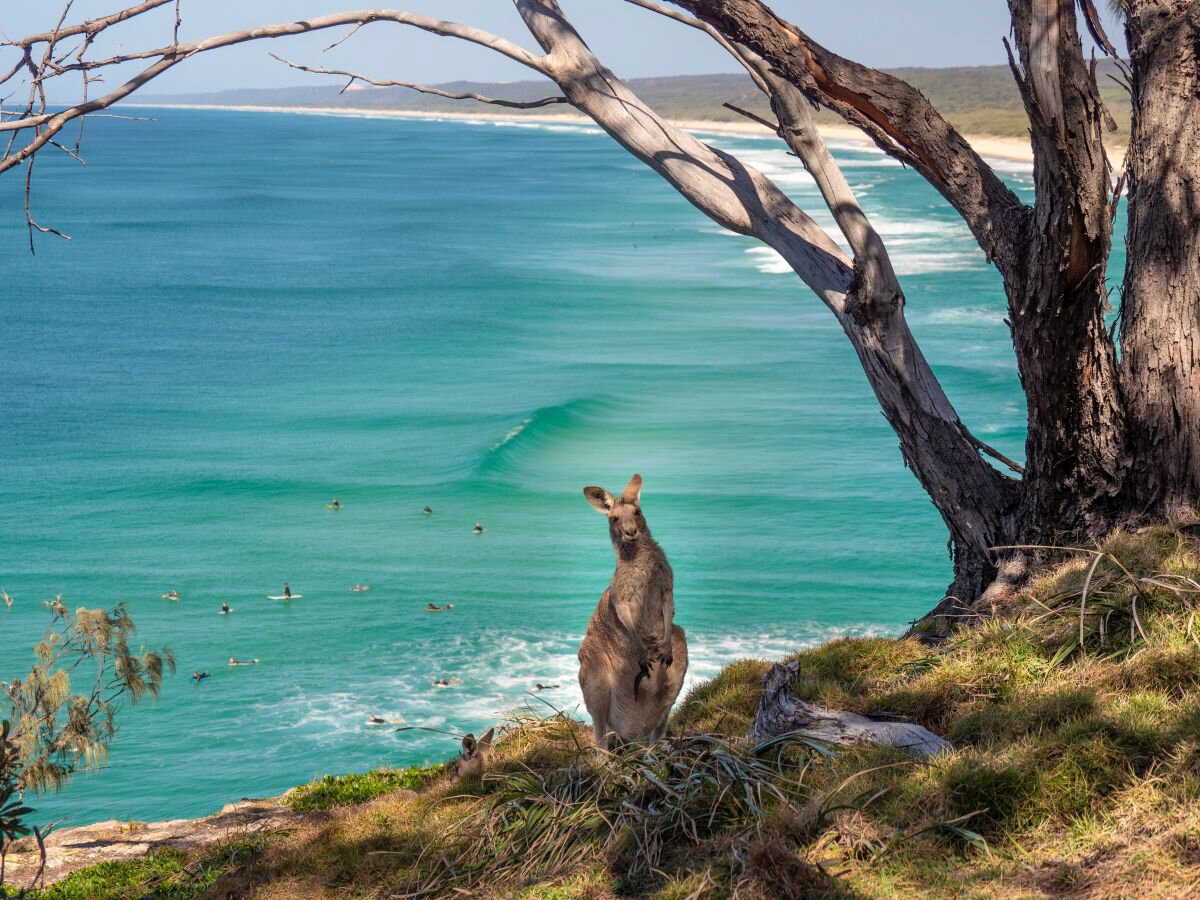 Kangaroo Island. Photo Tourism Australia