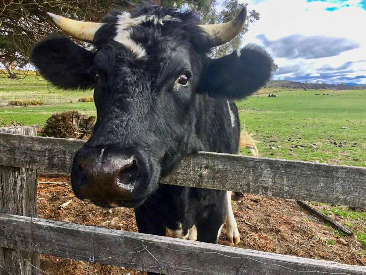 Rathmore House Tasmania (1).JPG