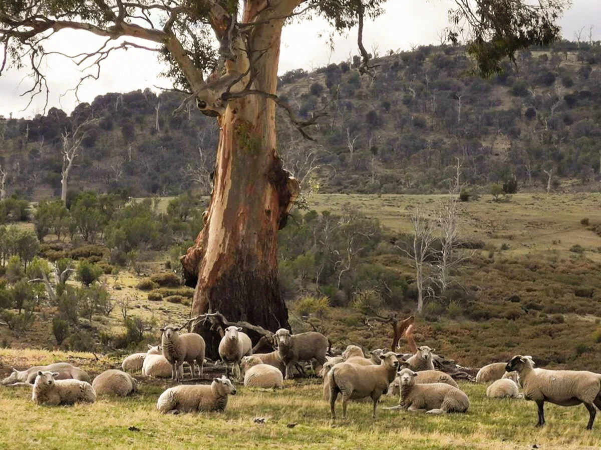 Rathmore House Tasmania (2).JPG