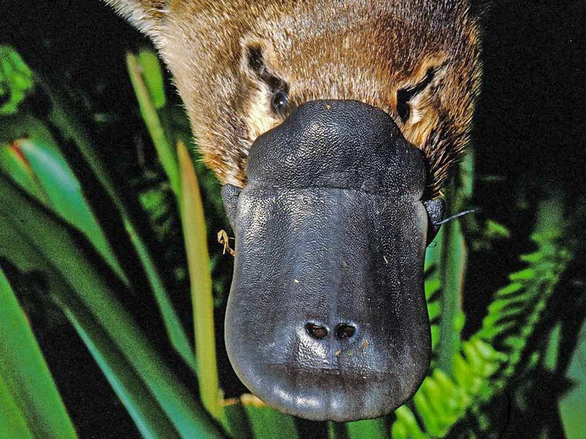 Rathmore House Tasmania (5).JPG