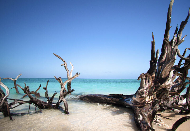 Lady Musgrave Island is small enough to walk around entirely in approx 15 minutes. Image Fiona Harper