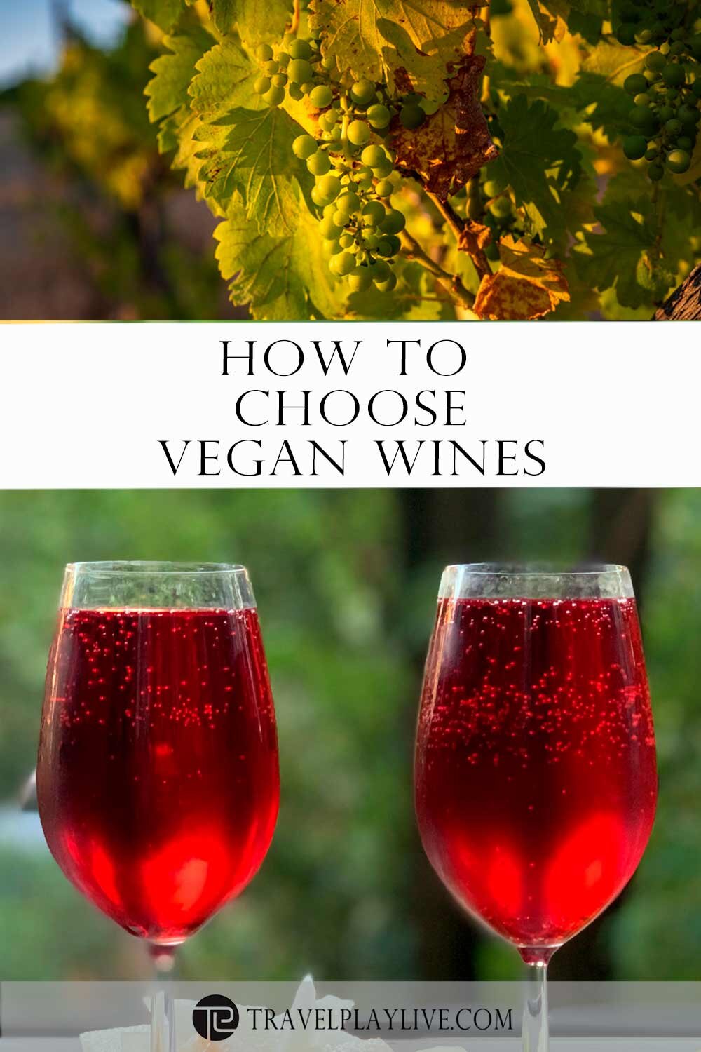 Vegan-wines3.jpg