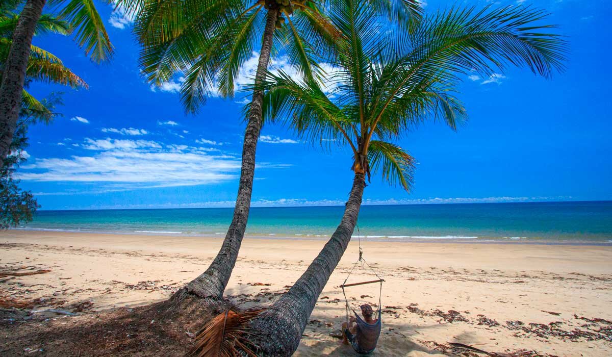 North Queensland beaches come lined with palm trees and are bathed in sunshine year-round. Image Fiona Harper