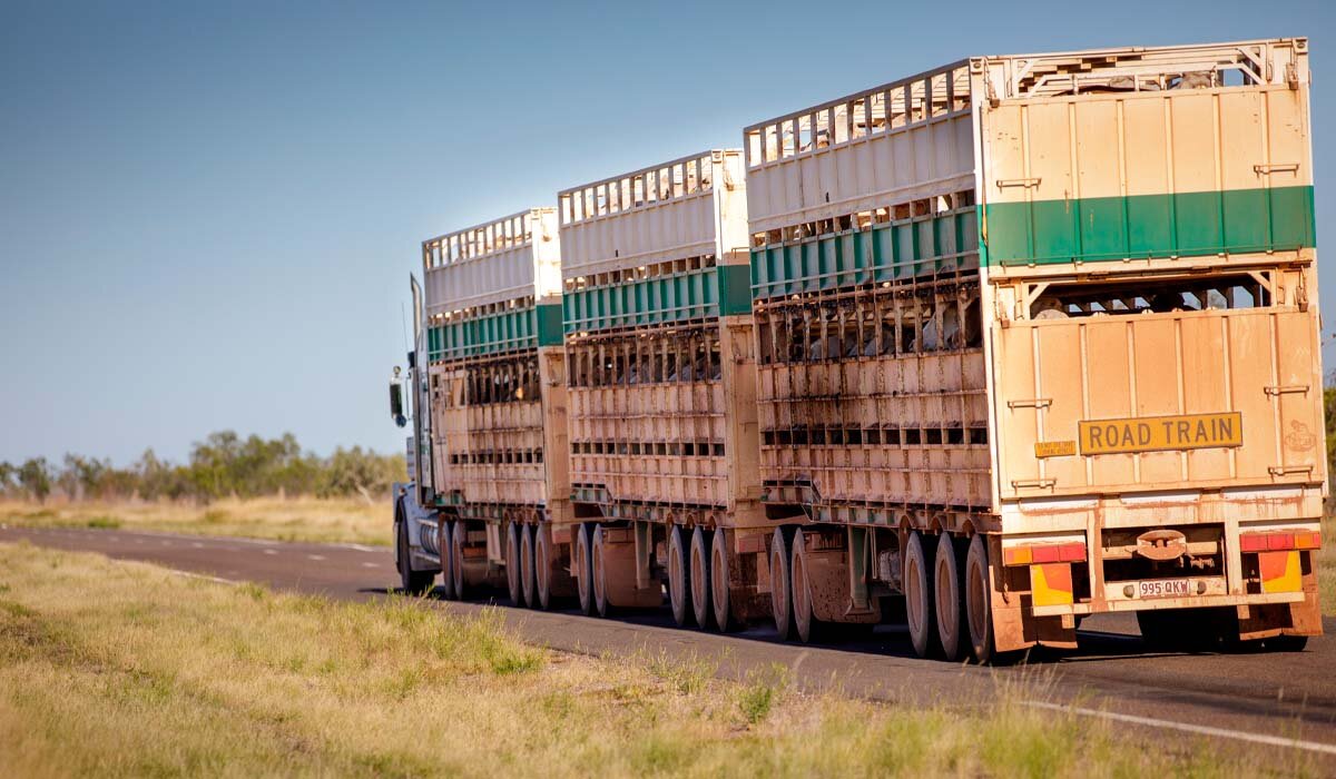 Road trains take up much of the road and should be given a wide berth. Image Fiona Harper