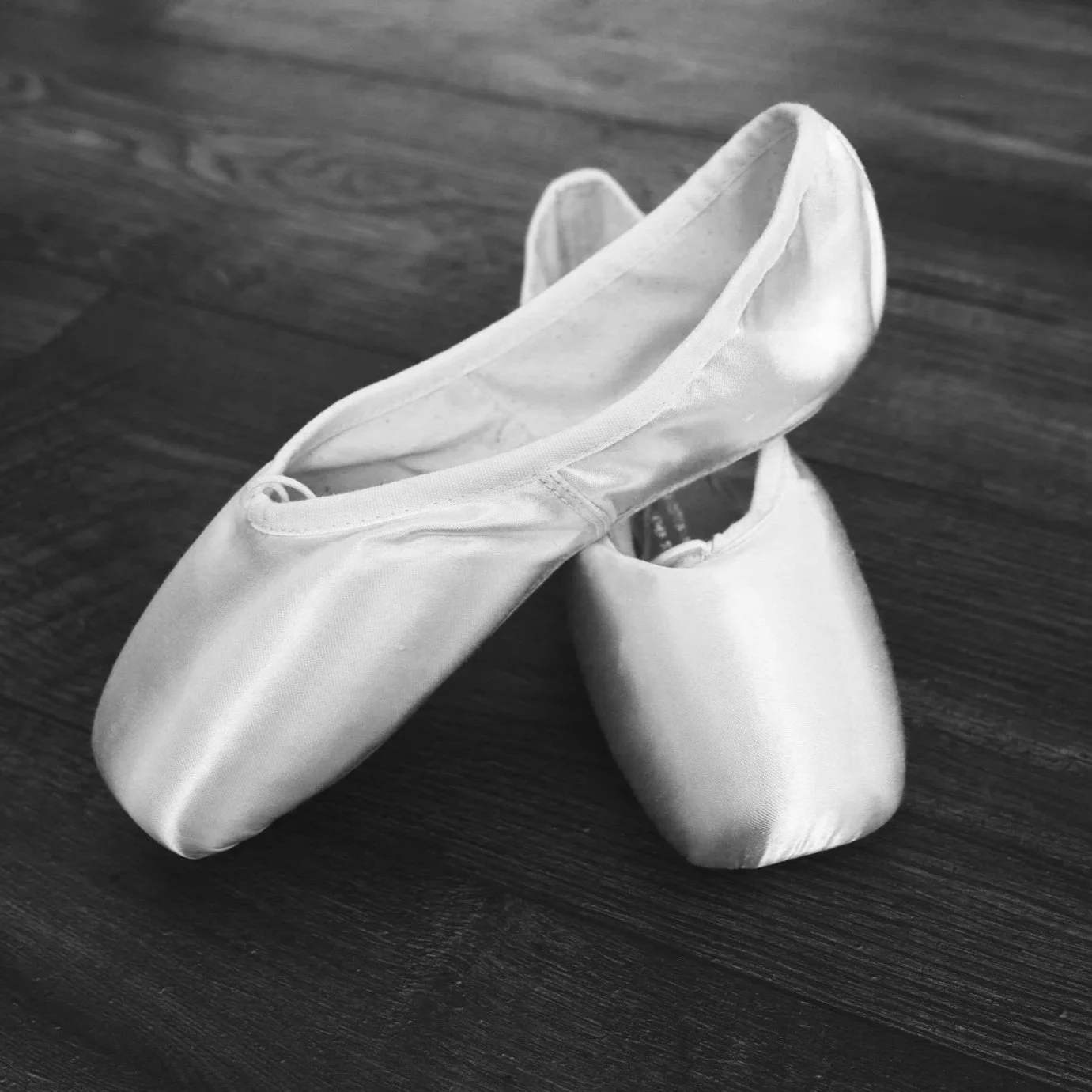 class-descriptions-performing-arts-academy-of-jupiter