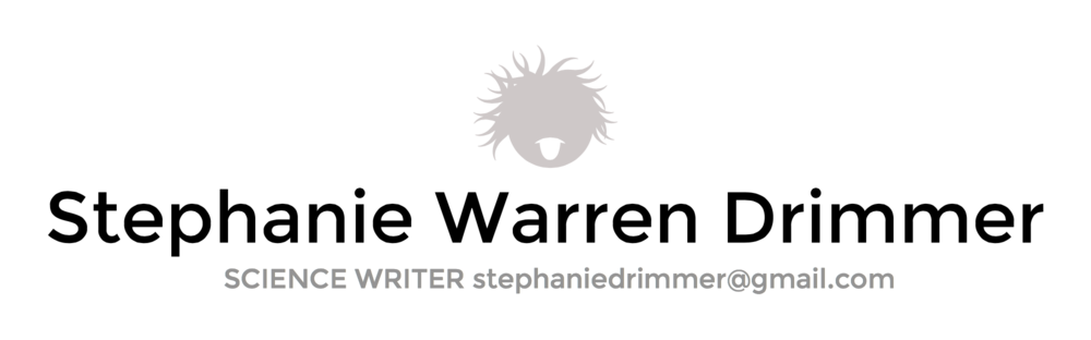 Stephanie Warren Drimmer