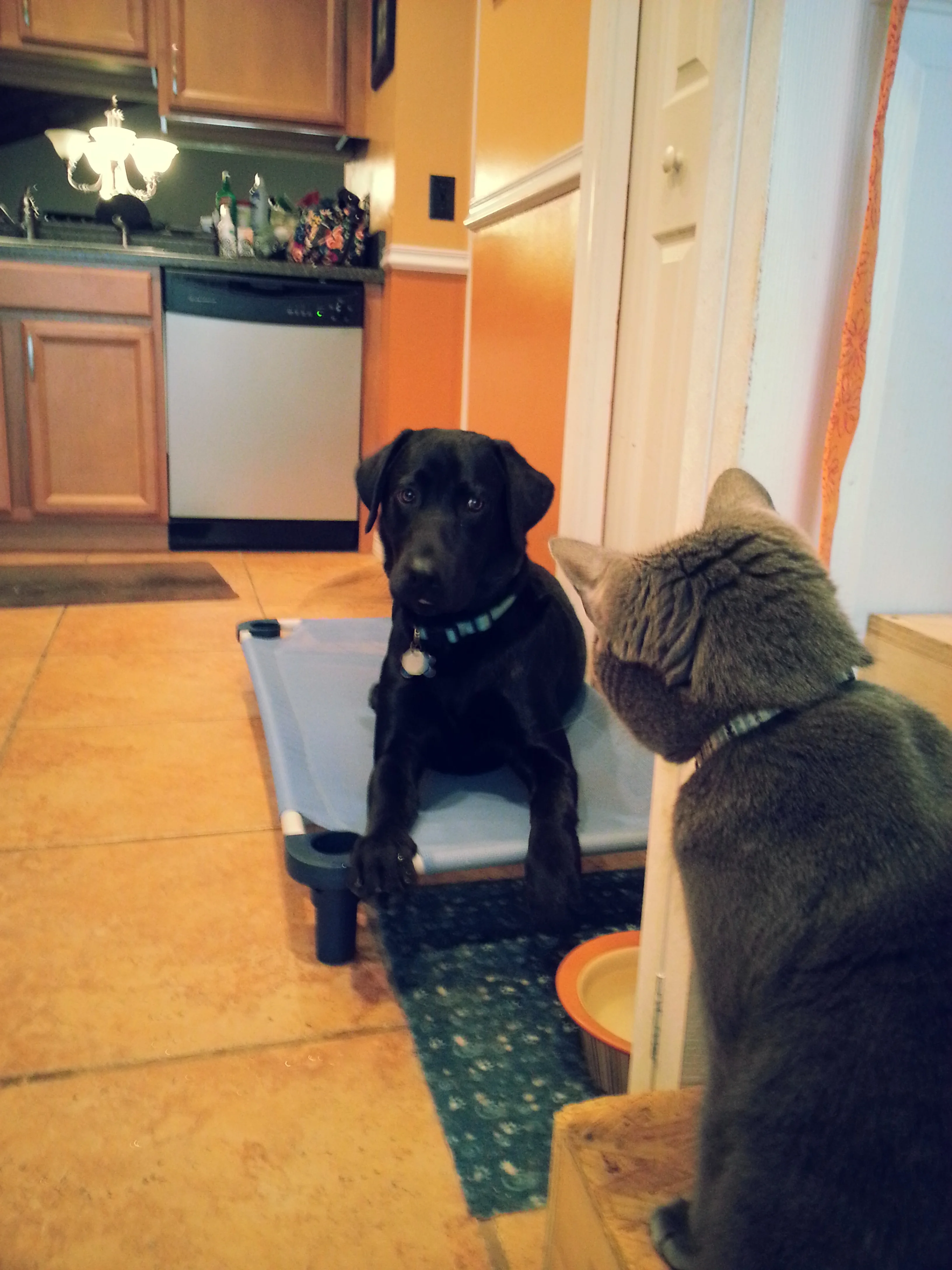 20140723_103326.jpg