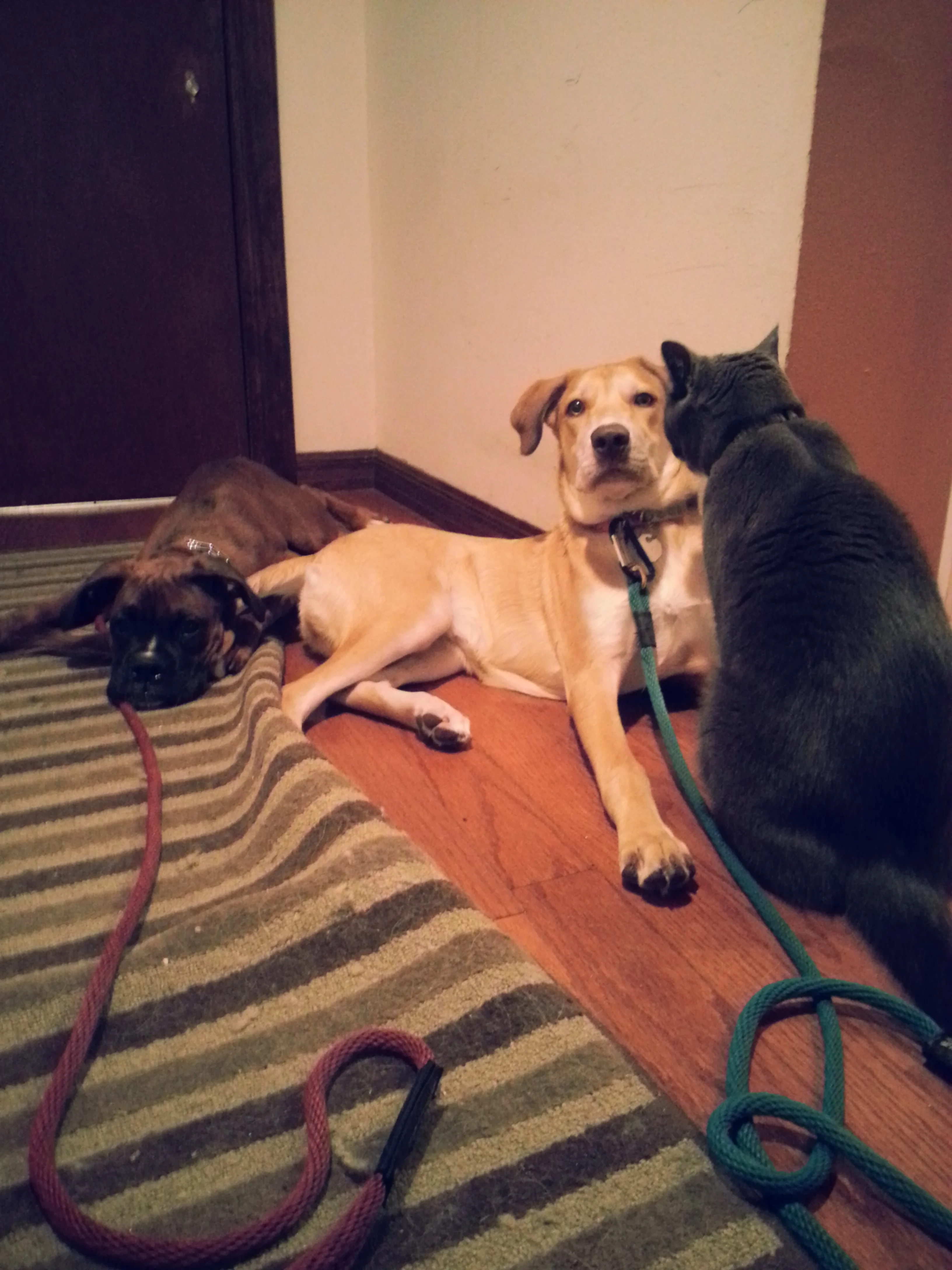 20141013_114654.jpg