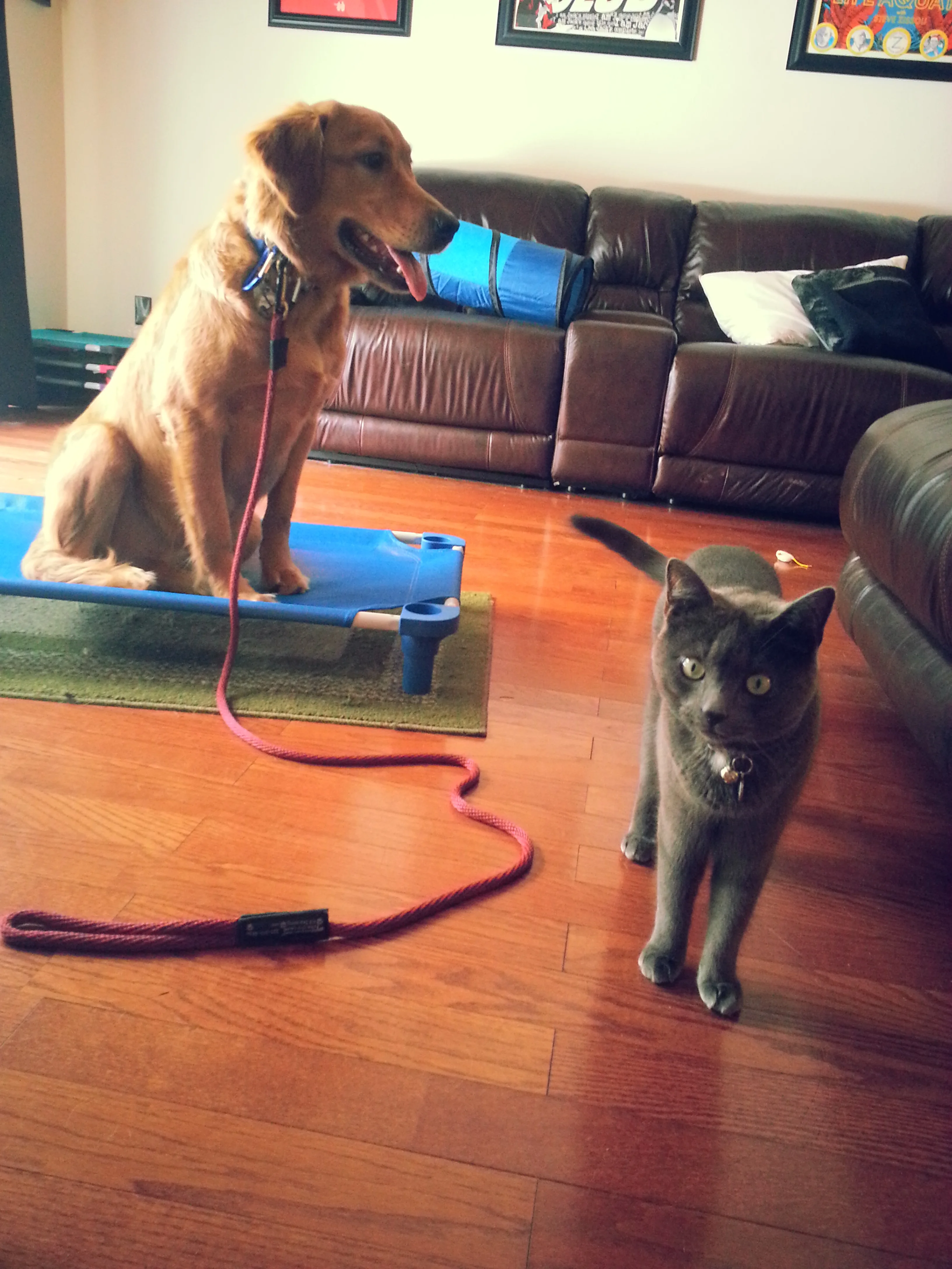20141014_134313.jpg