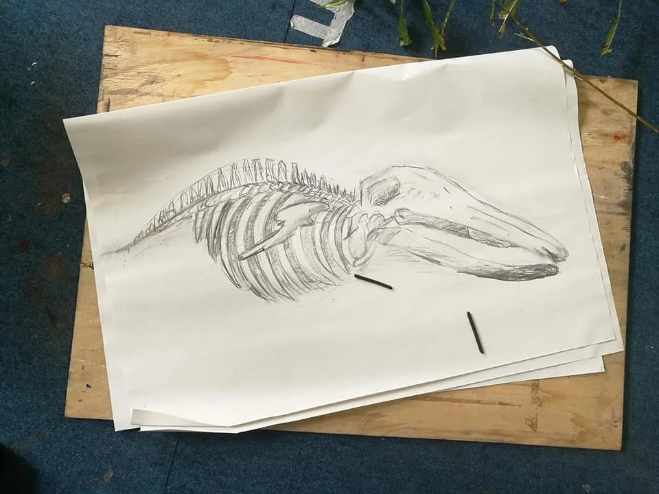 23517501_292981291208508_1592299400406095847_n.jpg