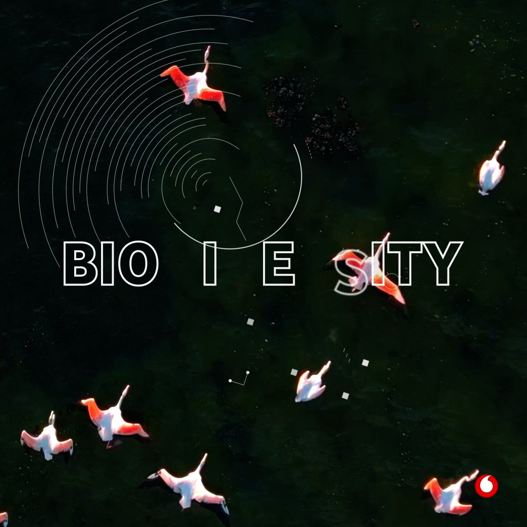 Biodiversity Animation_v2.00_00_13_07.Still004.jpg