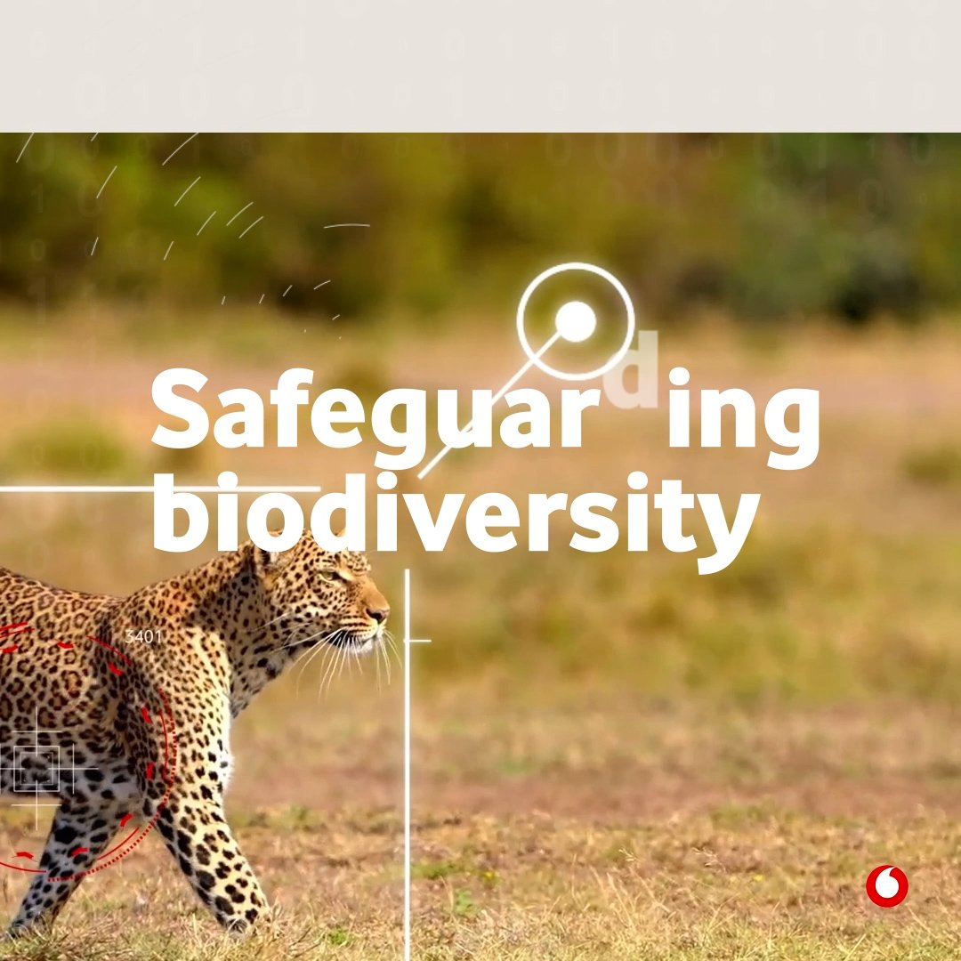 Biodiversity Animation 2 1x1 v3.00_00_31_10.Still003.jpg