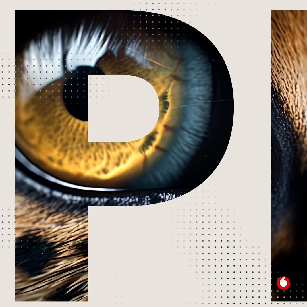 Biodiversity Animation_v2.00_00_00_00.Still001.jpg