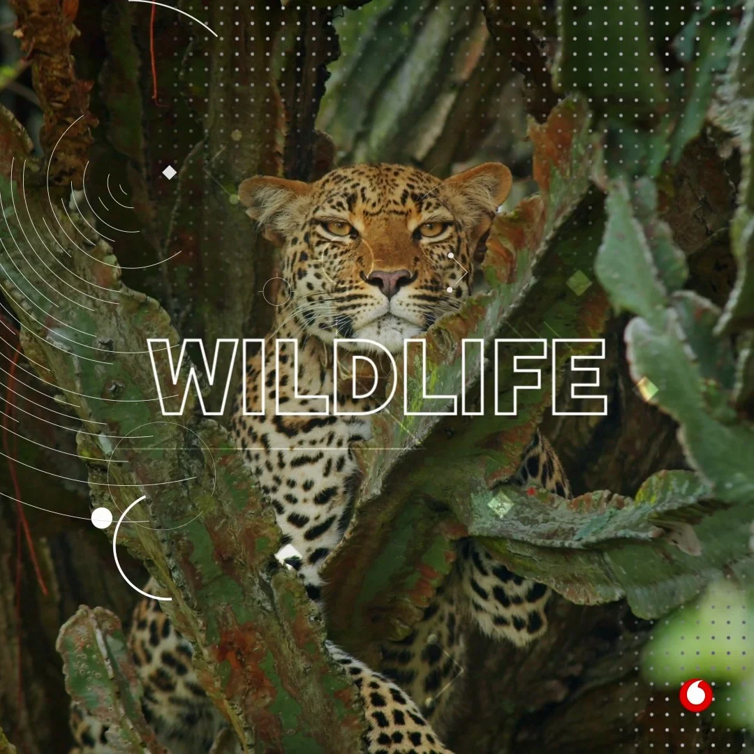 Biodiversity Animation_v2.00_00_01_22.Still003.jpg