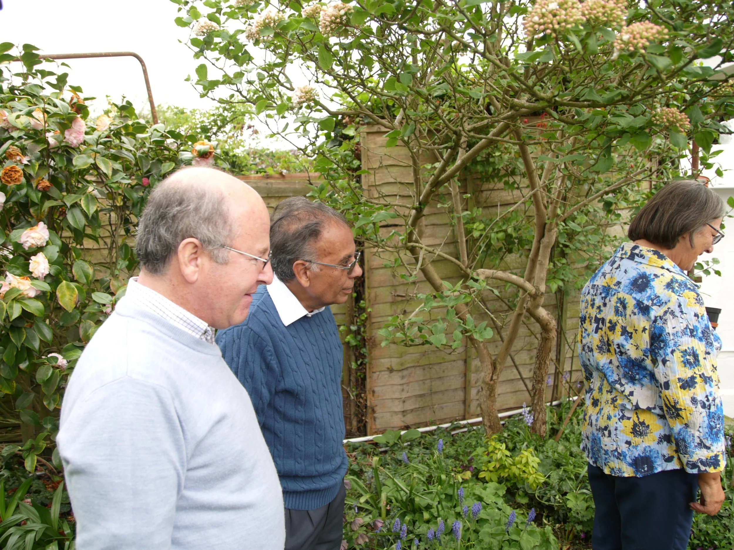 David-Ashish-Gill.jpg