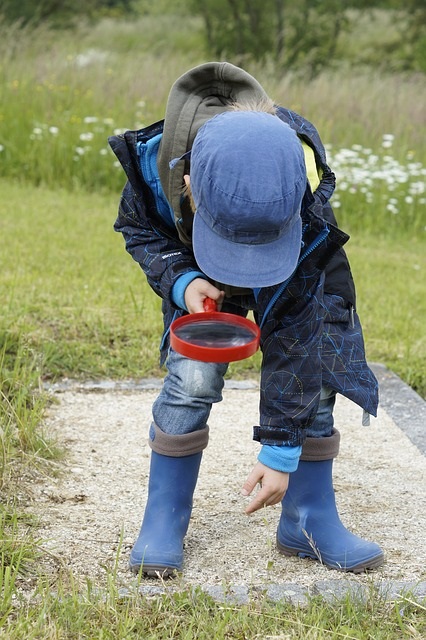 Looking for evidence.