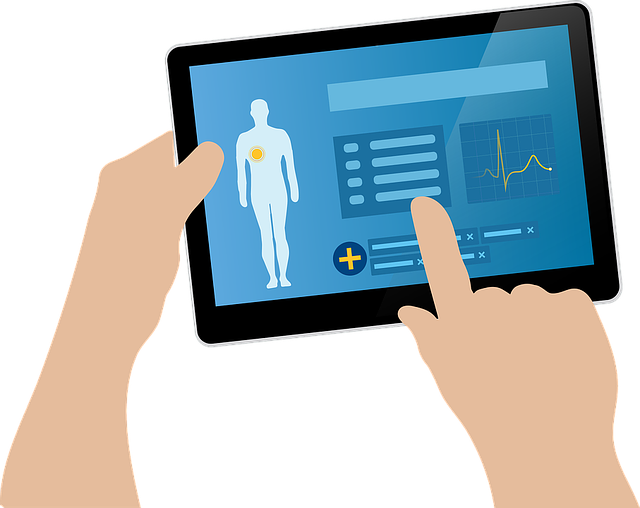 ehr-1476525_640.png