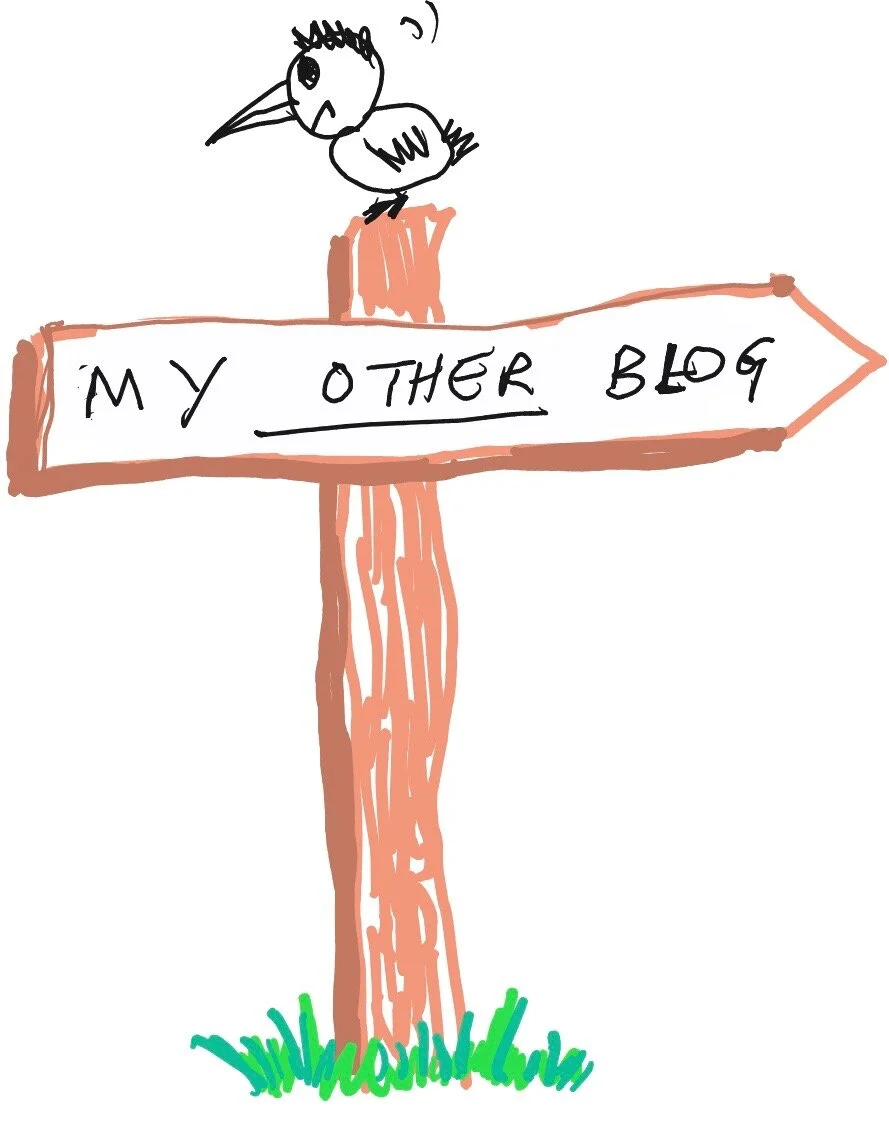 My Other Blog, by Terry Freedman