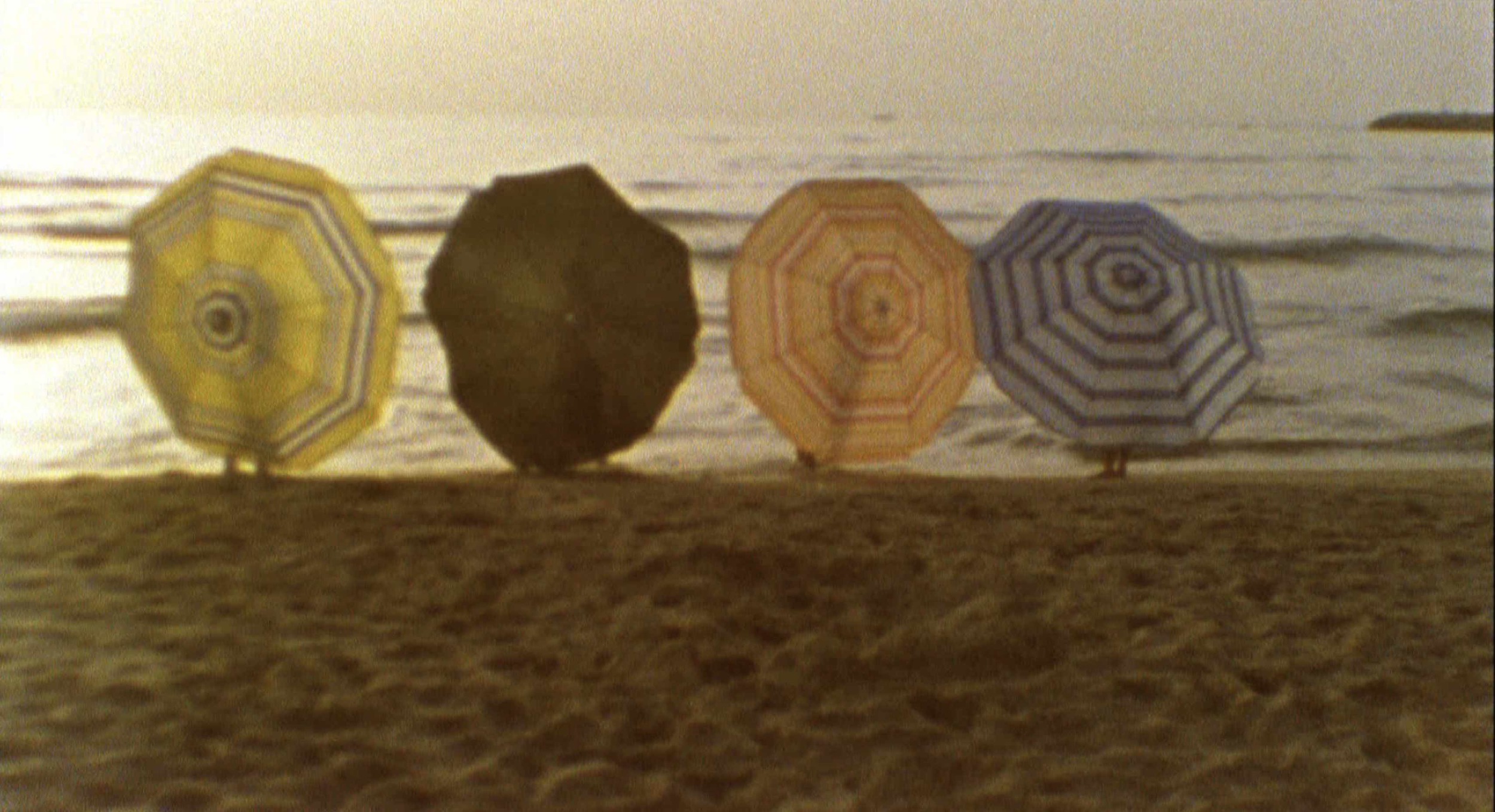 PICTURE 3 .jpg