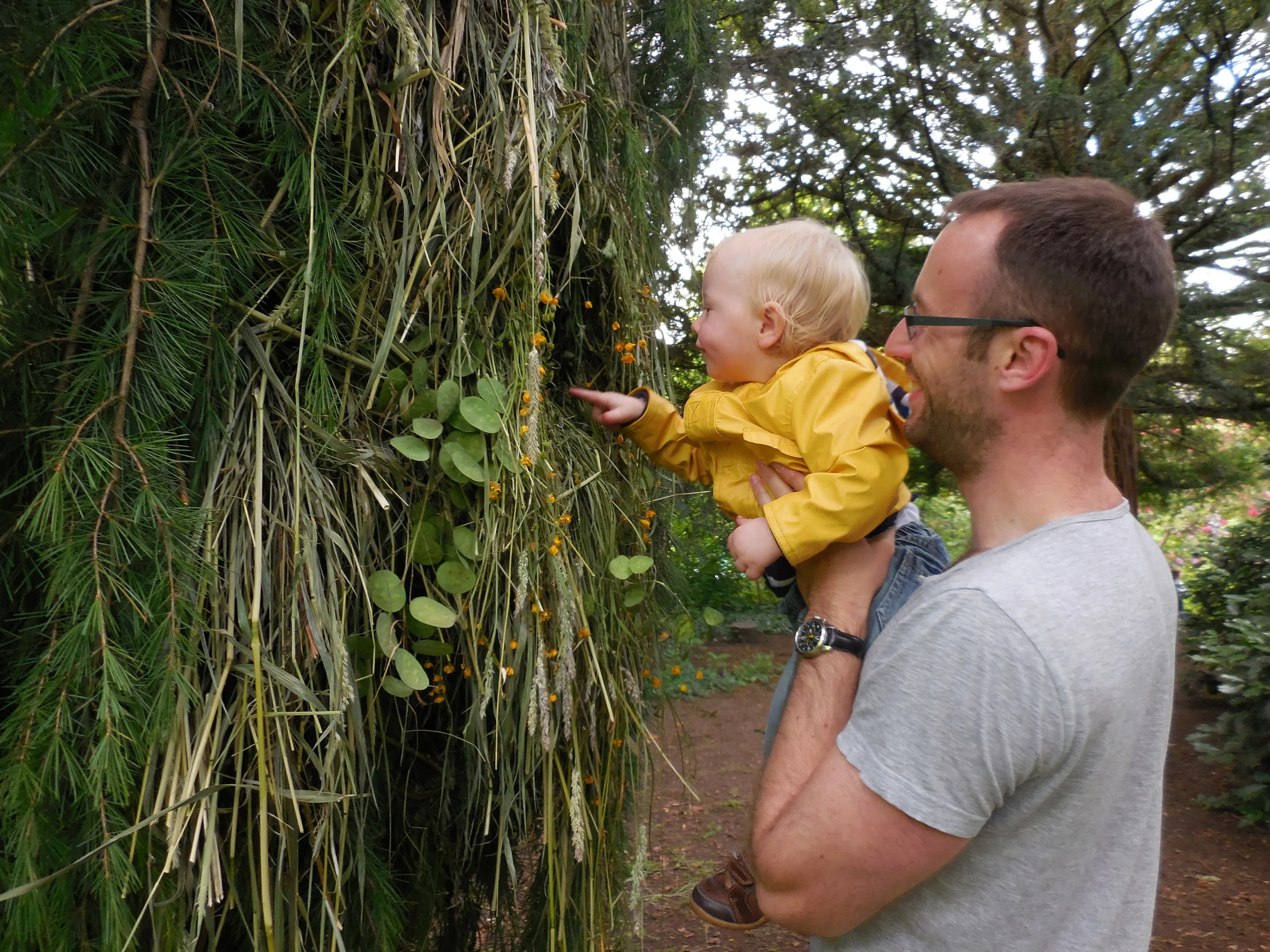 DAF June 2015 048.JPG