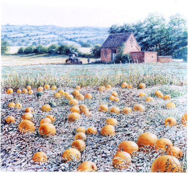 PumpkinField.jpg
