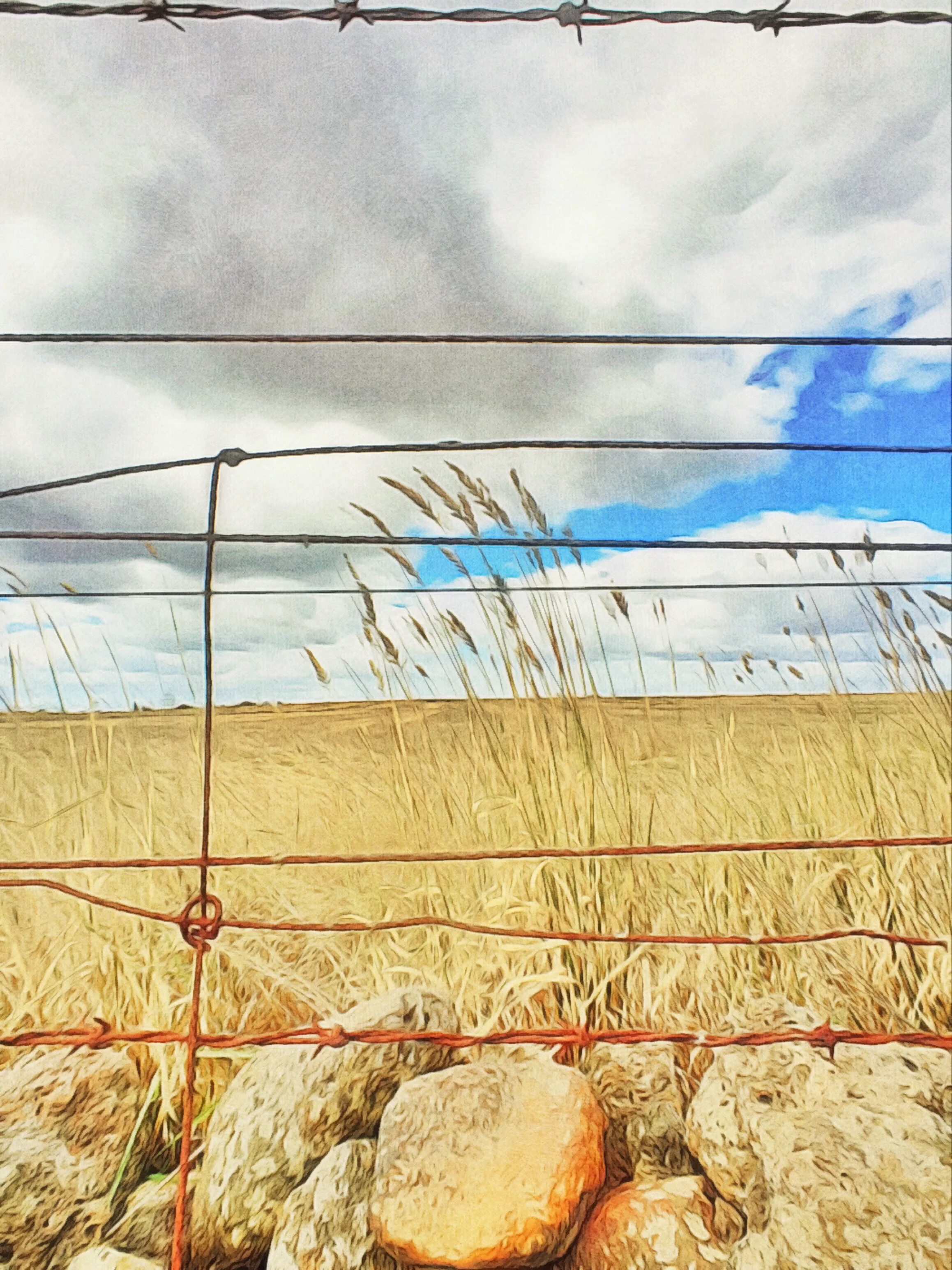 The colours of Australia in Summer