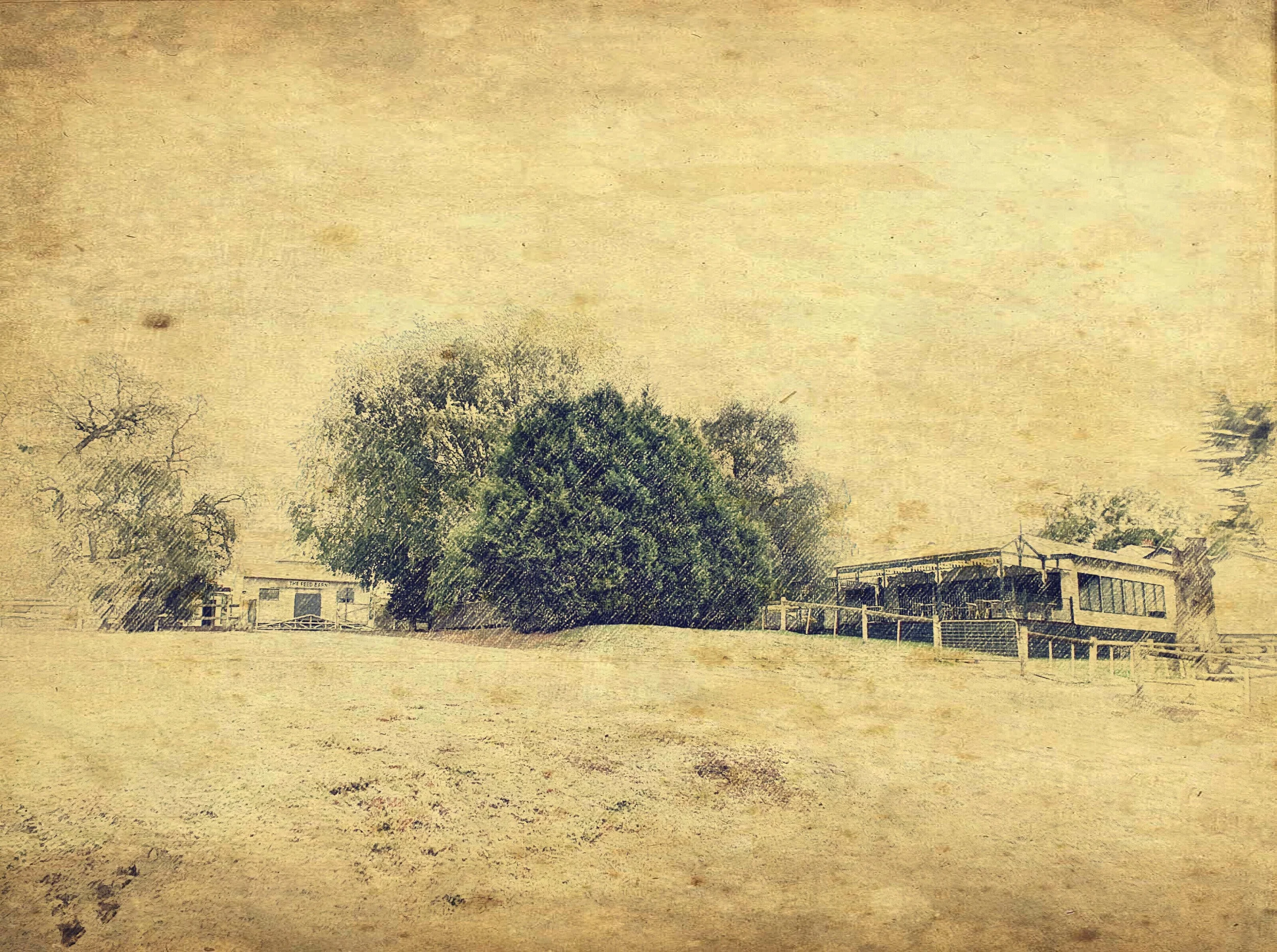 Moorabool Valley Chocolates Cafe at 320 Ballarat Road Batesford